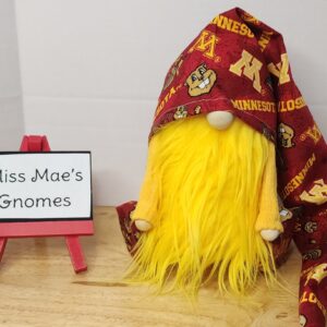 U Of M Sitting