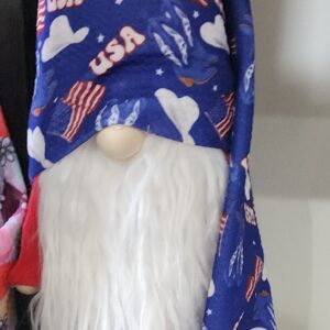 USA Odin #1