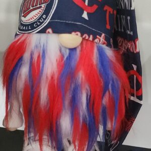 MN Twins